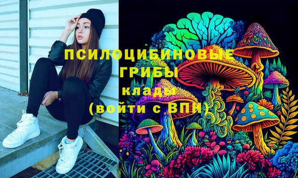 гидра Нязепетровск