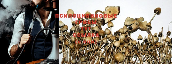 apvp Абинск