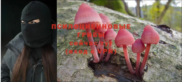 герыч Няндома